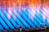 Llanwrtyd gas fired boilers